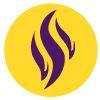 flame-icon-100-yellowpurple